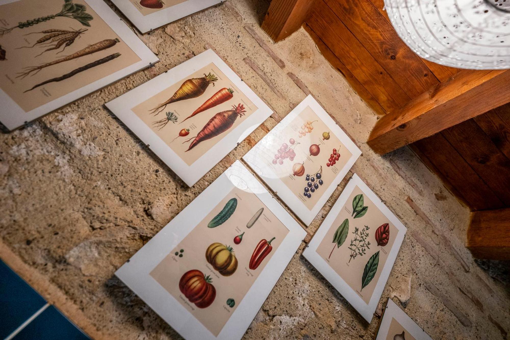 La Maison De L'Ecolieu Du Turc - Piscine Partagee Le Mas-d'Agenais ภายนอก รูปภาพ
